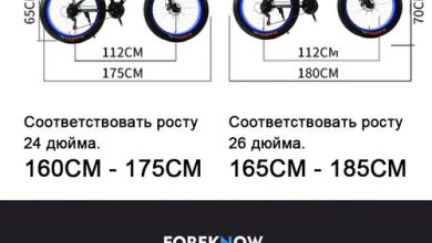 Photo of Особенности и назначение 24-дюймовых велосипедов